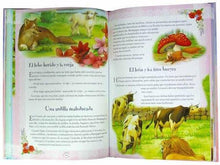 Cargar imagen en el visor de la galería, 365 cuentos fantásticos