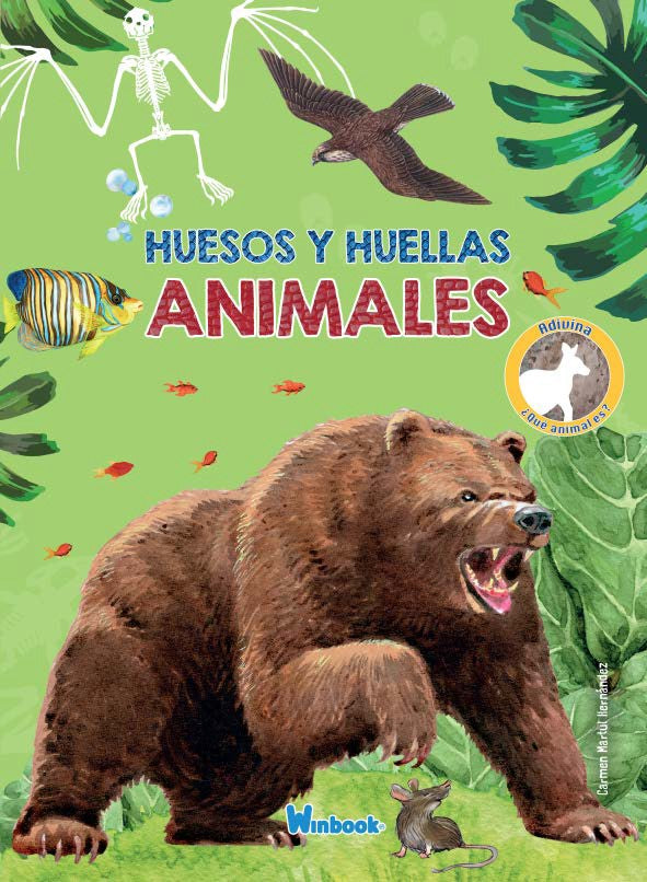 Huesos y huellas - Animales