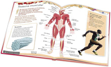 Cargar imagen en el visor de la galería, Gran Libro del Cuerpo Humano
