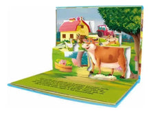 Cargar imagen en el visor de la galería, Set de 4 Libros Aventuras Animales - Pop Up 3D
