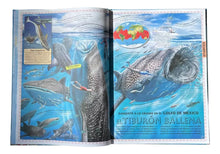Cargar imagen en el visor de la galería, Atlas De Los Oceanos Descubre El Mundo Marino - Libro Gigante
