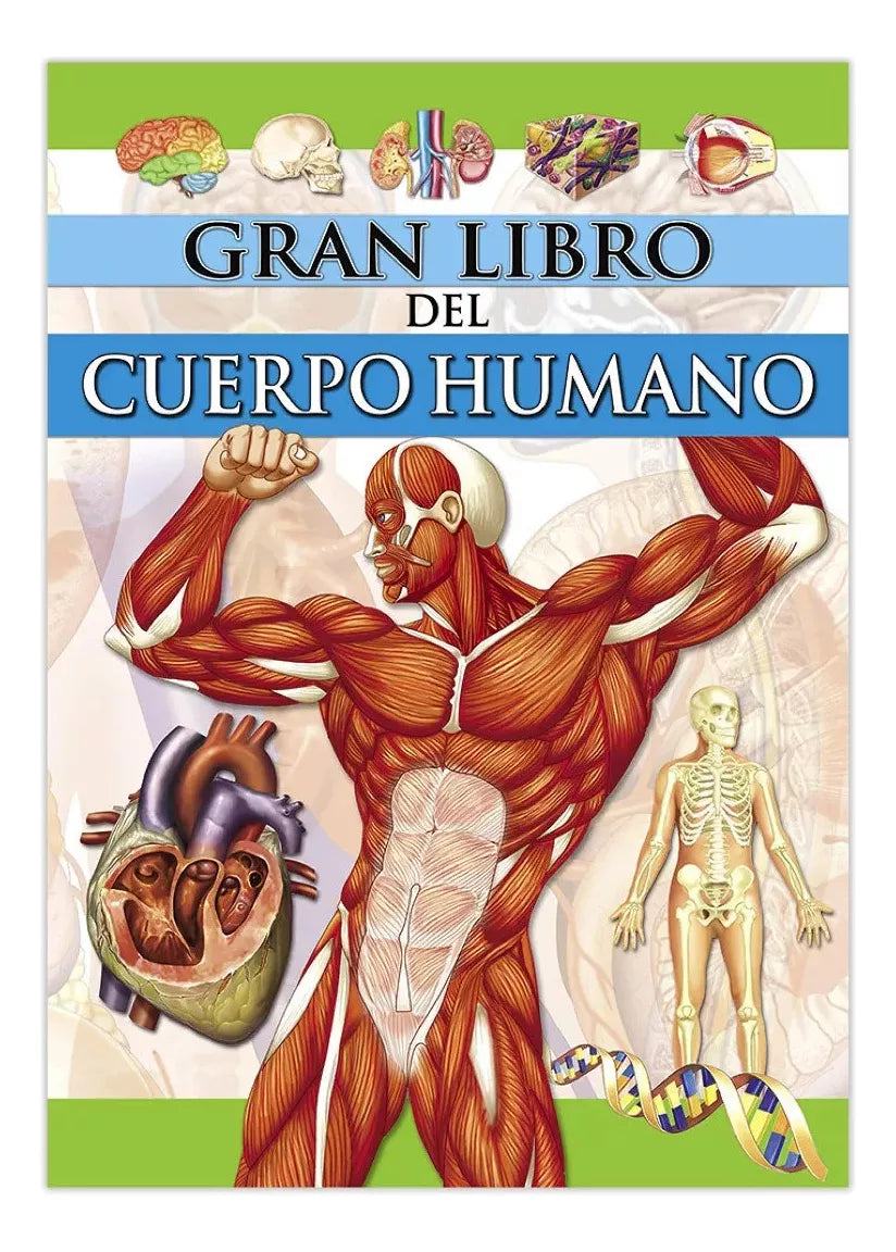 Gran Libro del Cuerpo Humano