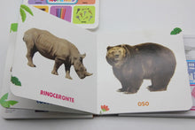 Cargar imagen en el visor de la galería, Set de 4 Libros Kinderpedia Vocales, Colores, Animales, Números - Pasta Dura
